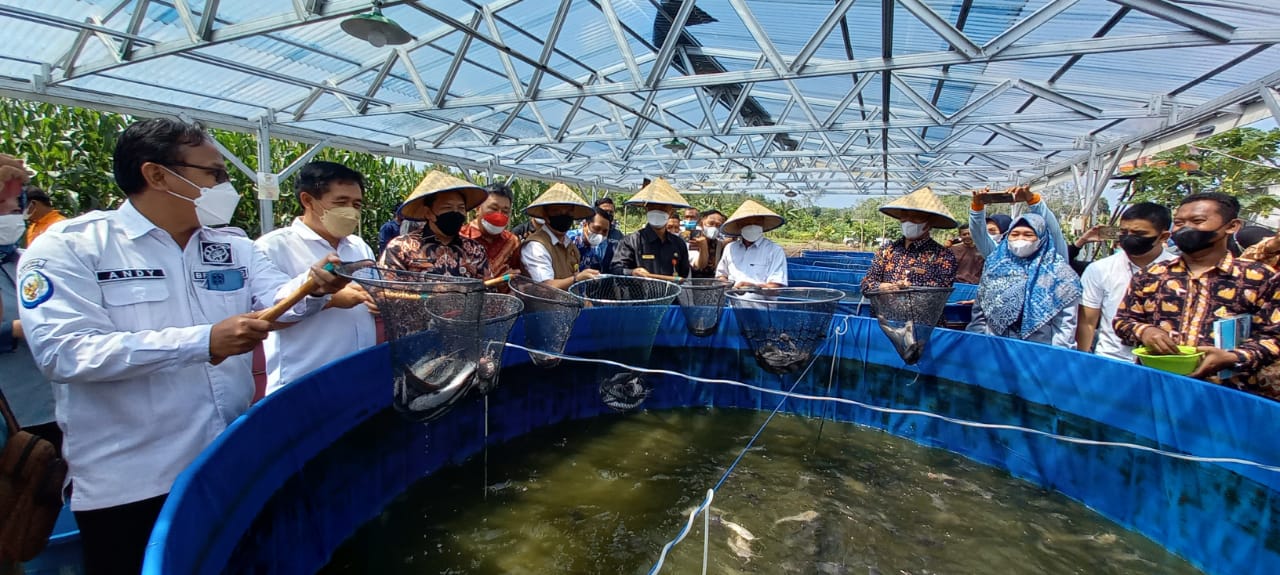 KKP canangkan Kampung Perikanan Budidaya Lele