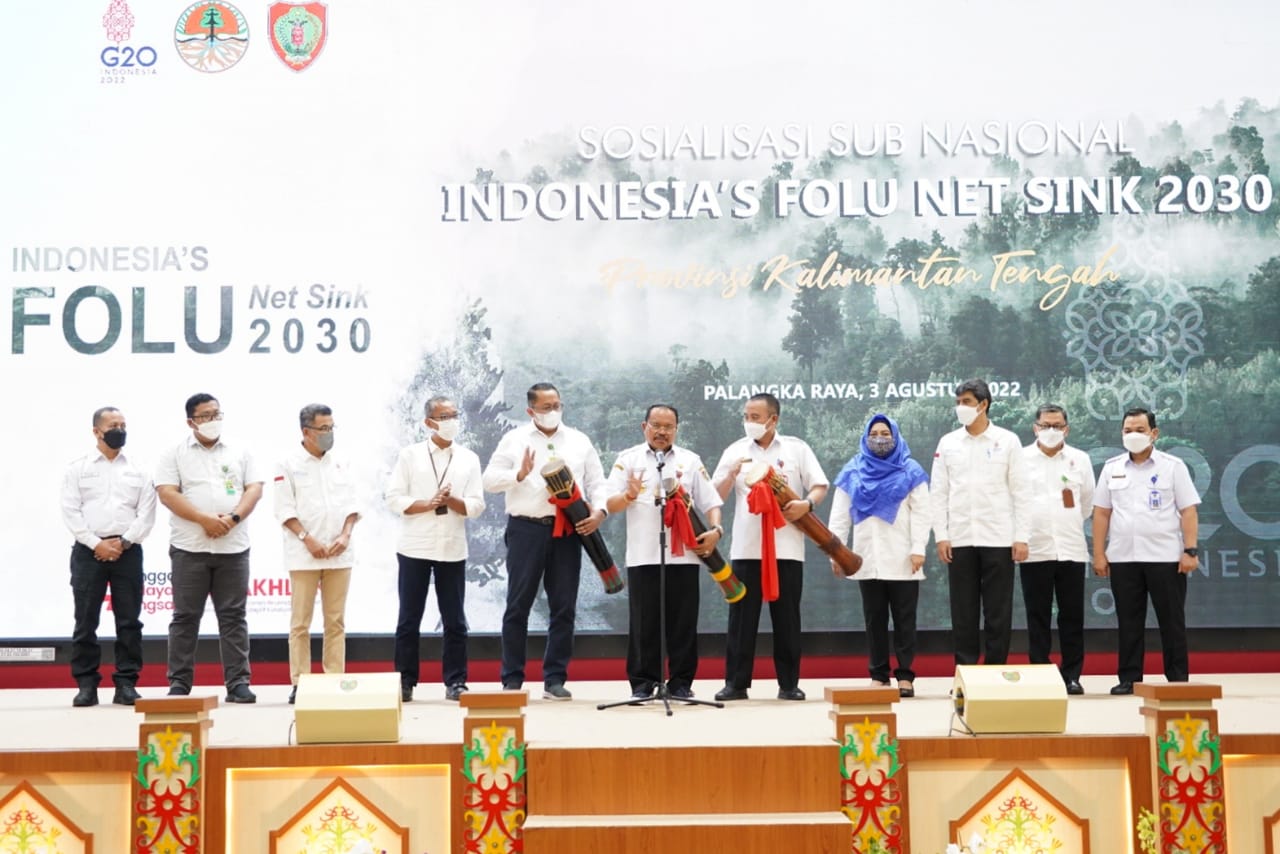 Sosialisasi Sub Nasional Indonesia’s Forestry and Other Land Use Net Sink 2030
