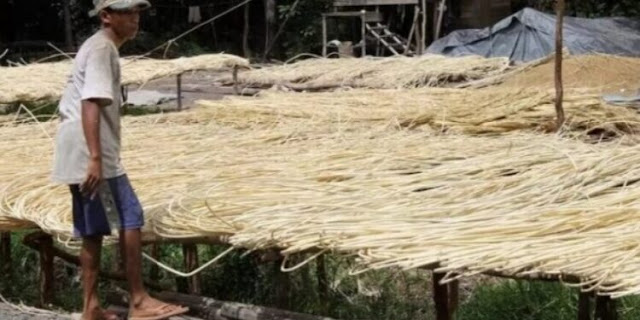Ketua Komisi III DPRD Barsel Sarankan Produksi Rotan Ditingkatkan