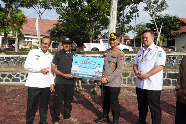 Sambut Hari Raya Iduladha 1446 H/ 2025 M, Pemprov Kalteng Salurkan Hewan Kurban ke Seluruh 14 Kabupaten/Kota se-Kalteng