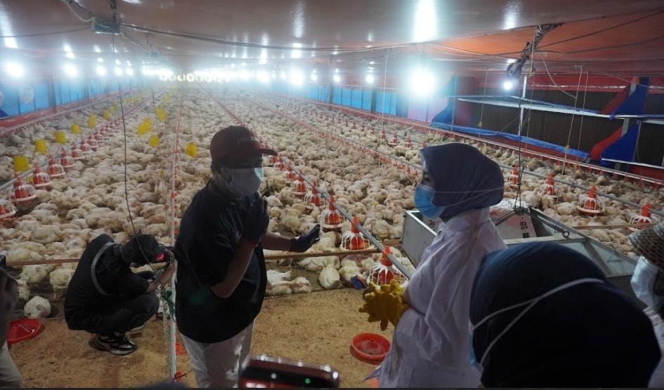 TPHP Kalteng Kembangkan Inovasi Peternakan melalui Close House