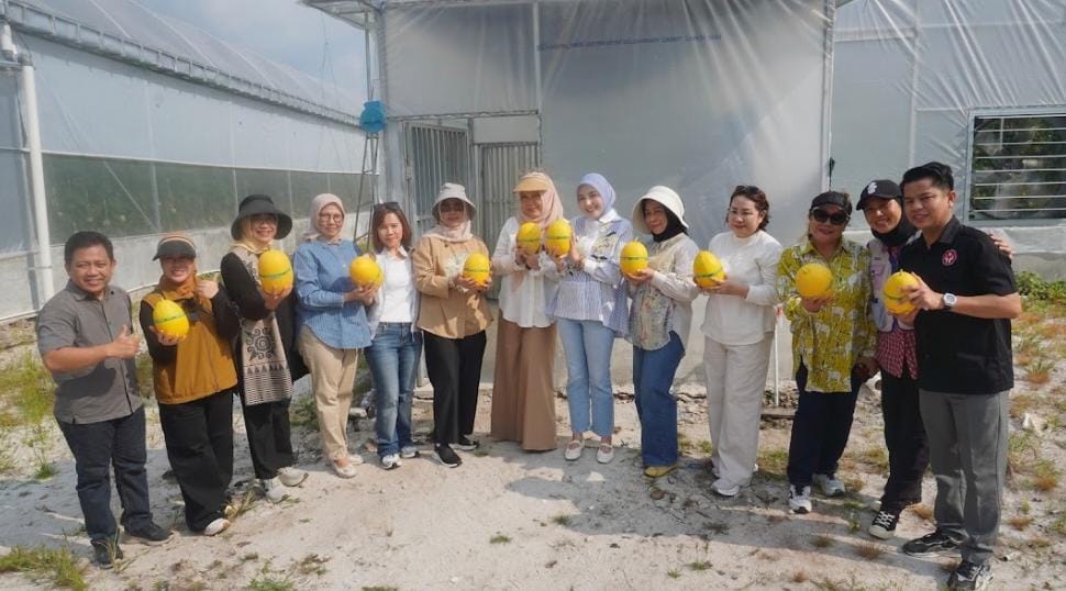 TPHP Kalteng Dorong Modernisasi Hortikultura melalui Smart Greenhouse