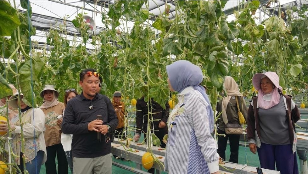 TPHP Kalteng Dorong Modernisasi Hortikultura melalui Smart Greenhouse