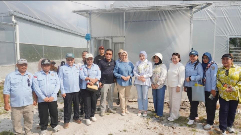 TPHP Kalteng Dorong Modernisasi Hortikultura melalui Smart Greenhouse