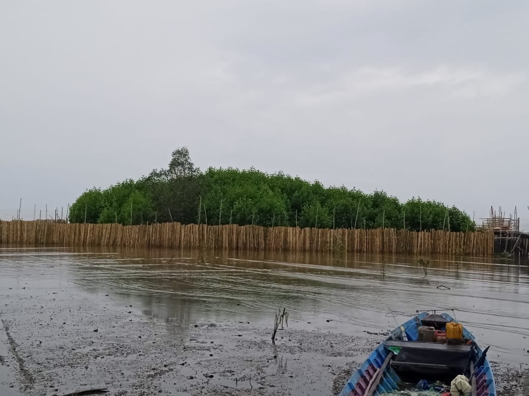 Dislutkan Prov. Kalteng Kembangkan Budidaya Kepiting Bakau