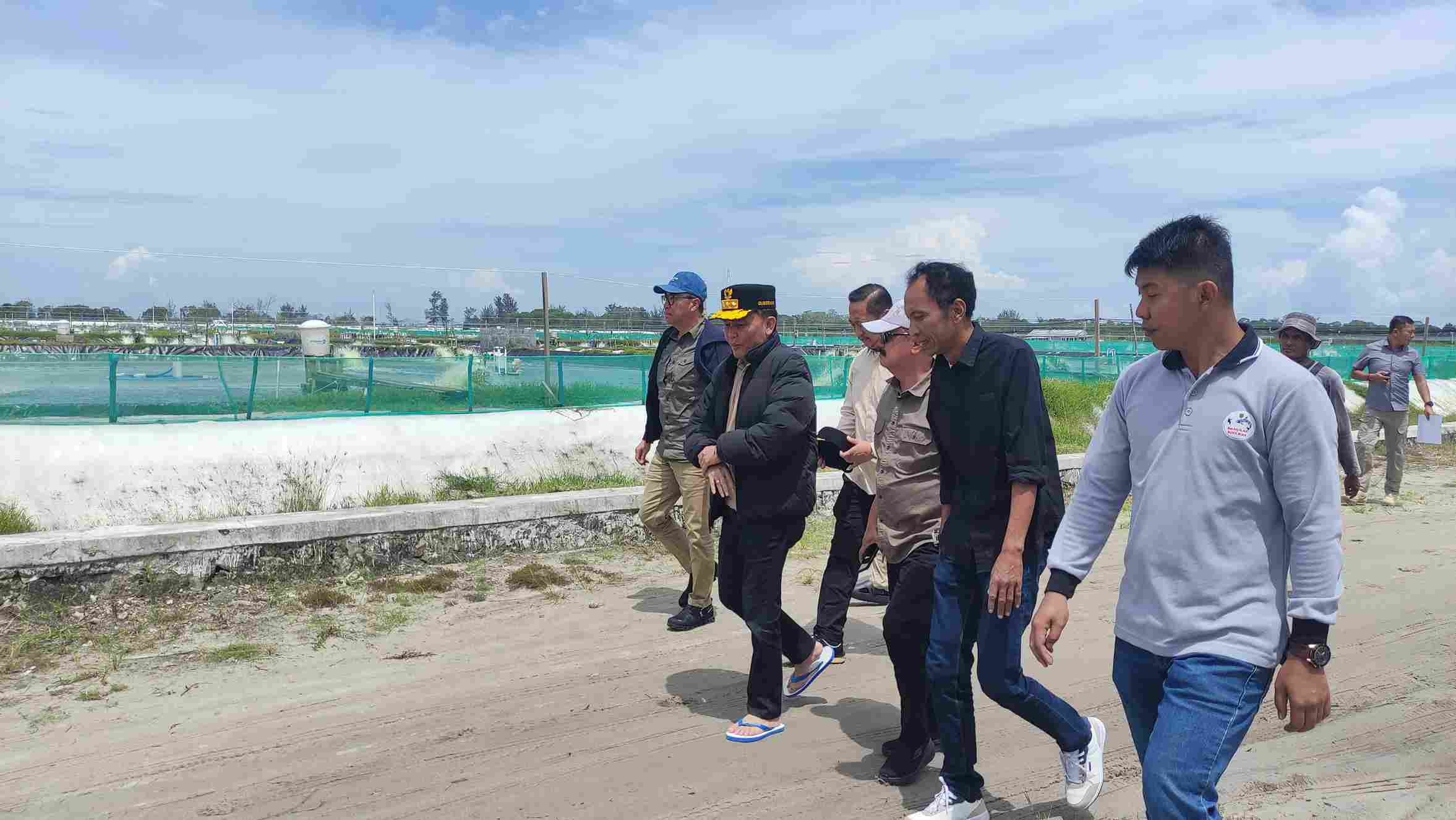 Gubernur Kalteng Agustiar Sabran Kunjungan ke Tambak Udang Vaname Shrimp Estate Berkah