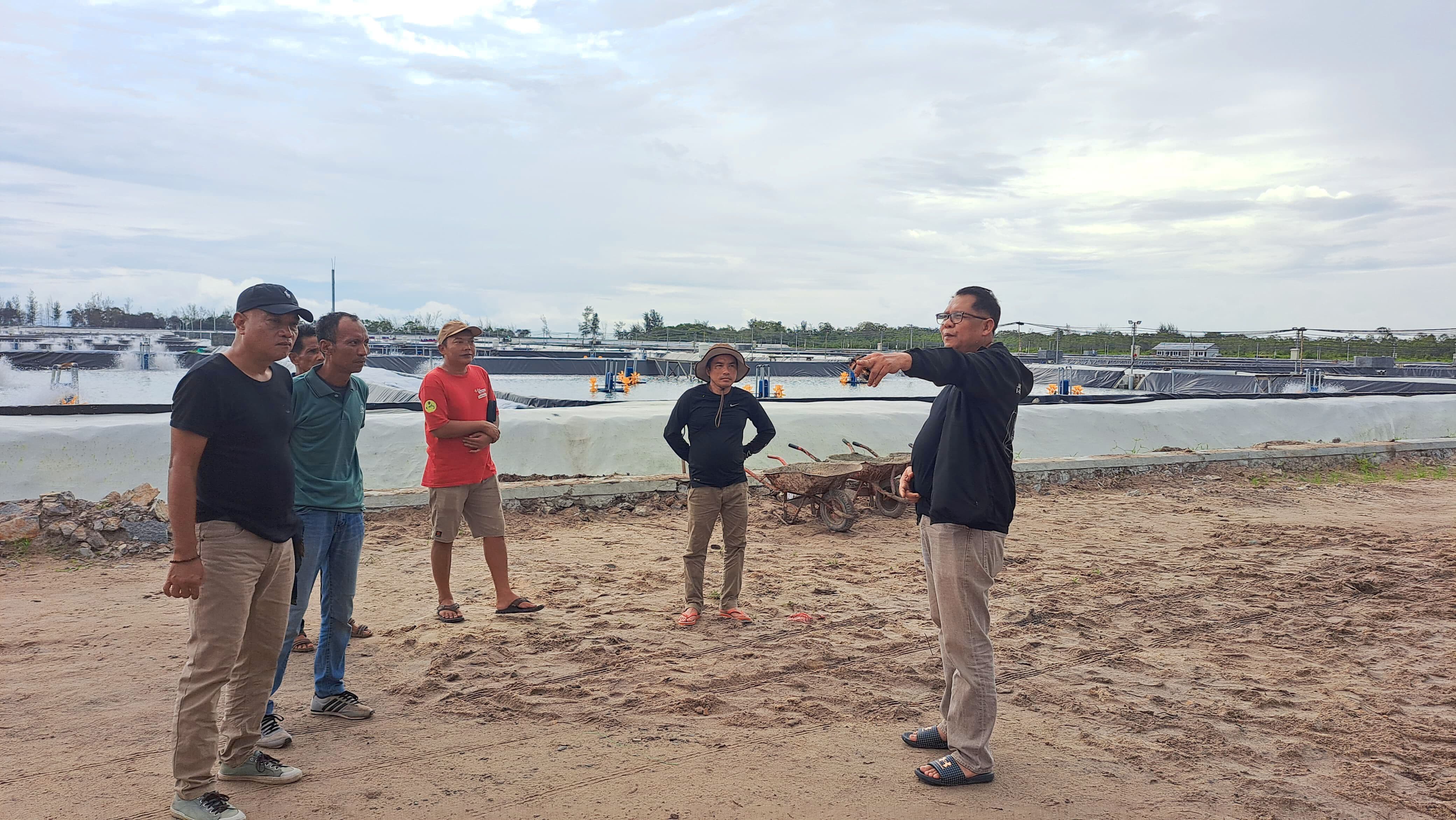 Kadislutkan Prov. Kalteng Darliansjah Lakukan Pengecekan Kawasan Shrimp Estate Berkah