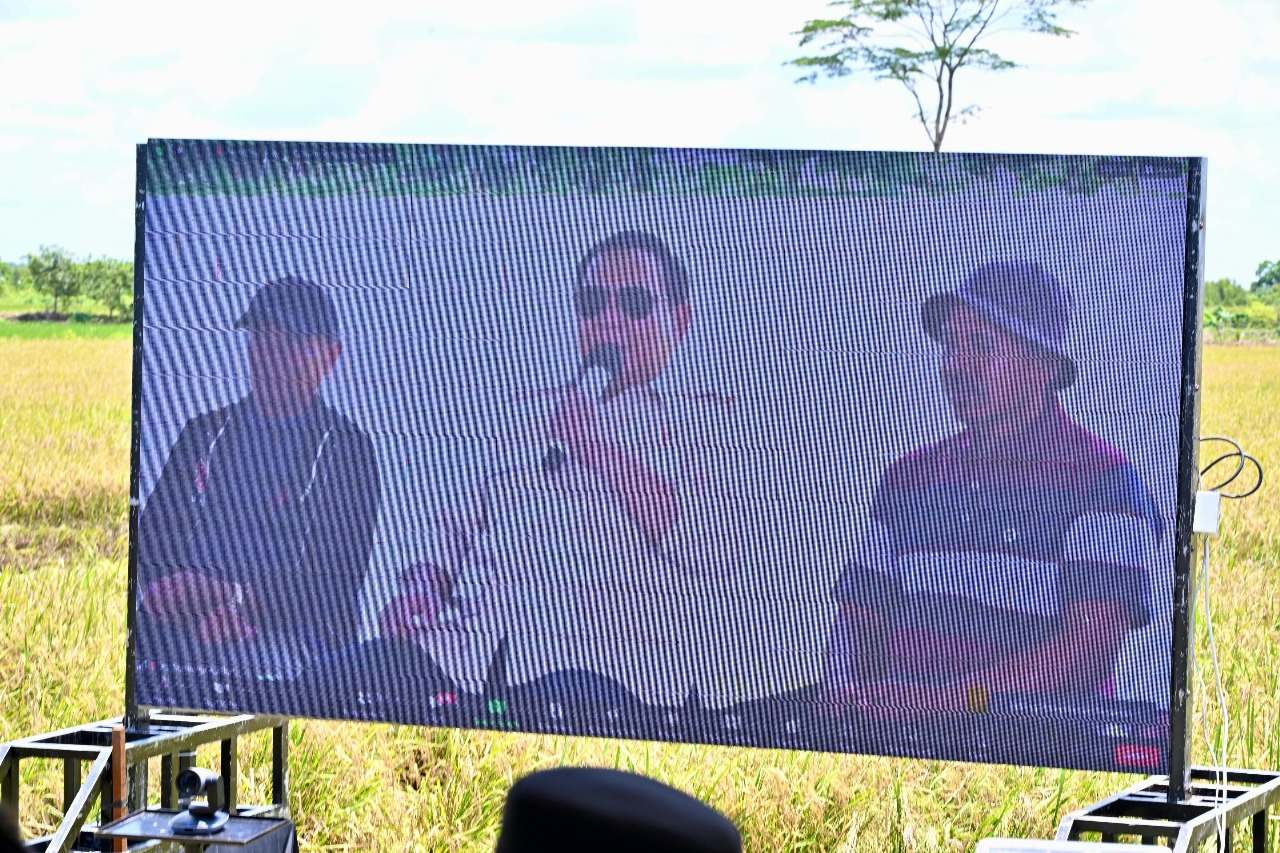 Kadis PMD Prov. Kalteng Aryawan Hadiri Acara Panen Raya Padi