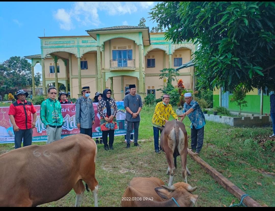 Gubernur Kalteng Serahkan Bantuan Hewan Kurban Sapi Untuk Kab. Kapuas