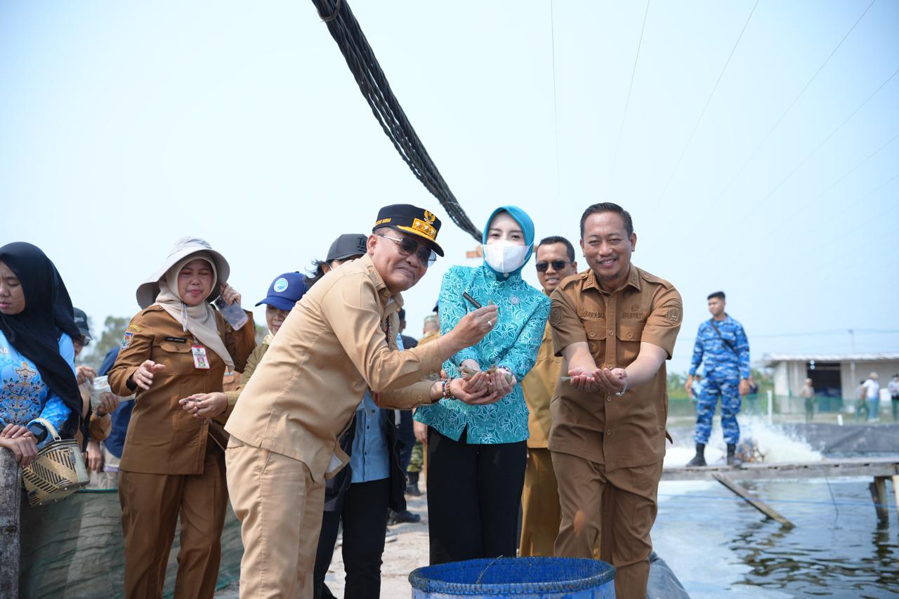 Gubernur Kalteng Agustiar Sabran Tinjau Pengelolaan Tambak Udang Vaname UPT BLUD PBAPL
