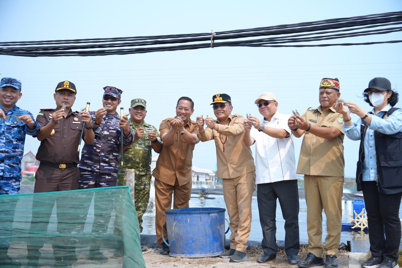 Gubernur Kalteng Agustiar Sabran Tinjau Pengelolaan Tambak Udang Vaname UPT BLUD PBAPL