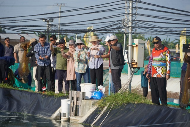 Pemprov Kalteng Terus Kembangkan Program Strategis Shrimp Estate