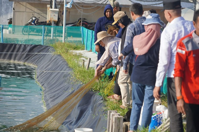 Pemprov Kalteng Terus Kembangkan Program Strategis Shrimp Estate
