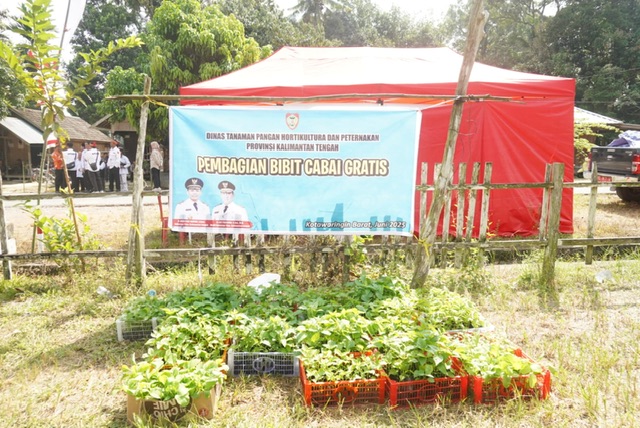 Ketua TP Posyandu Kalteng Aisyah Thisia Agustiar Sabran Pimpin Sosialisasi dan Implementasi 6 Bidang SPM yang Kini Dilaksanakan Melalui Posyandu