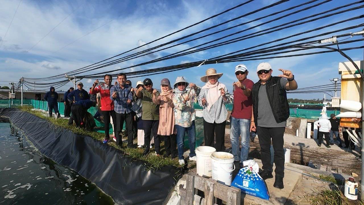 Shrimp Estate Diharapkan Mampu Berikan Kontribusi Positif, Khususnya Bagi Peningkatan Pendapatan Daerah