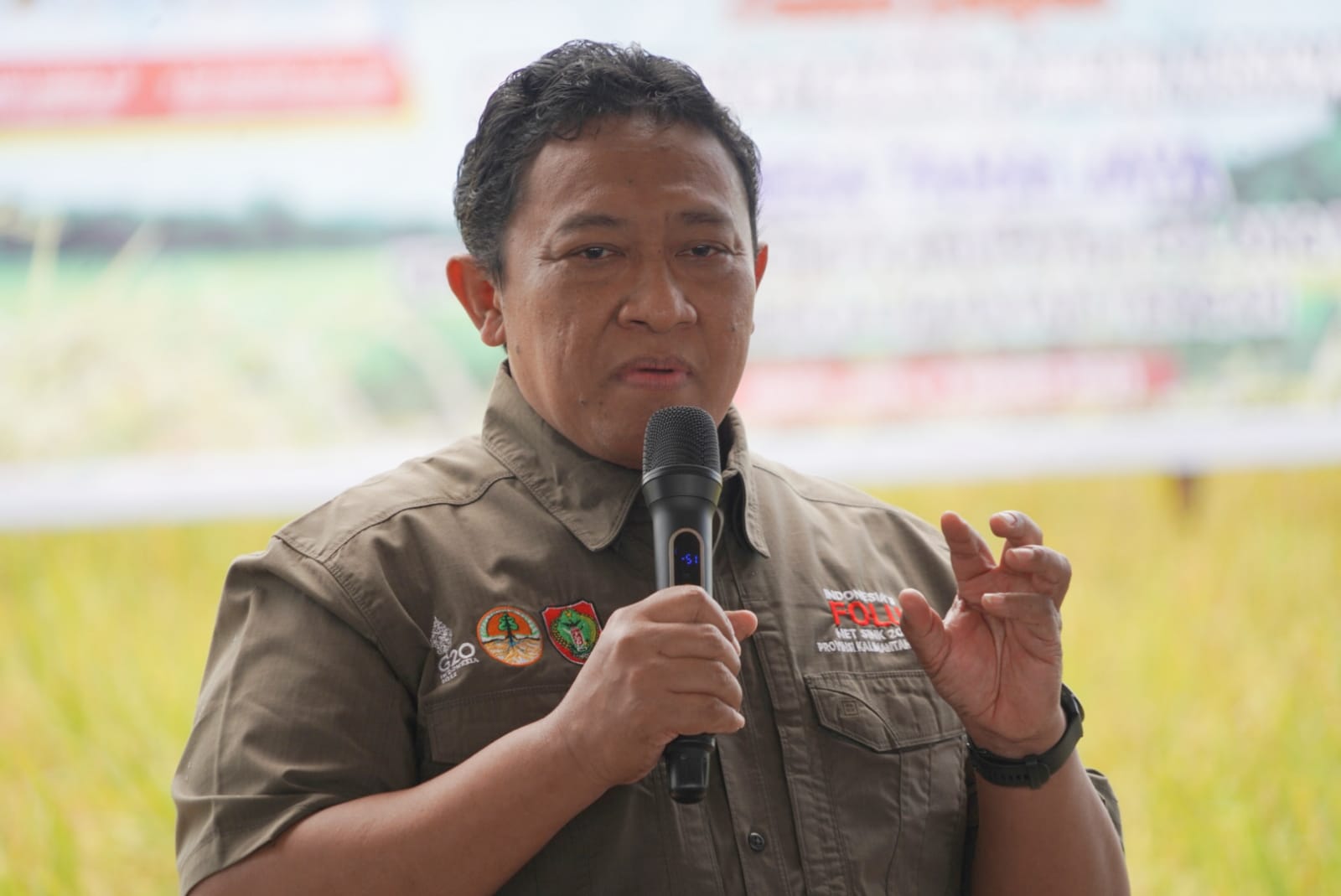 Wagub Kalteng Panen Padi Nusantara Di Kawasan Food Estate Tepatnya Di Desa Tahai Jaya
