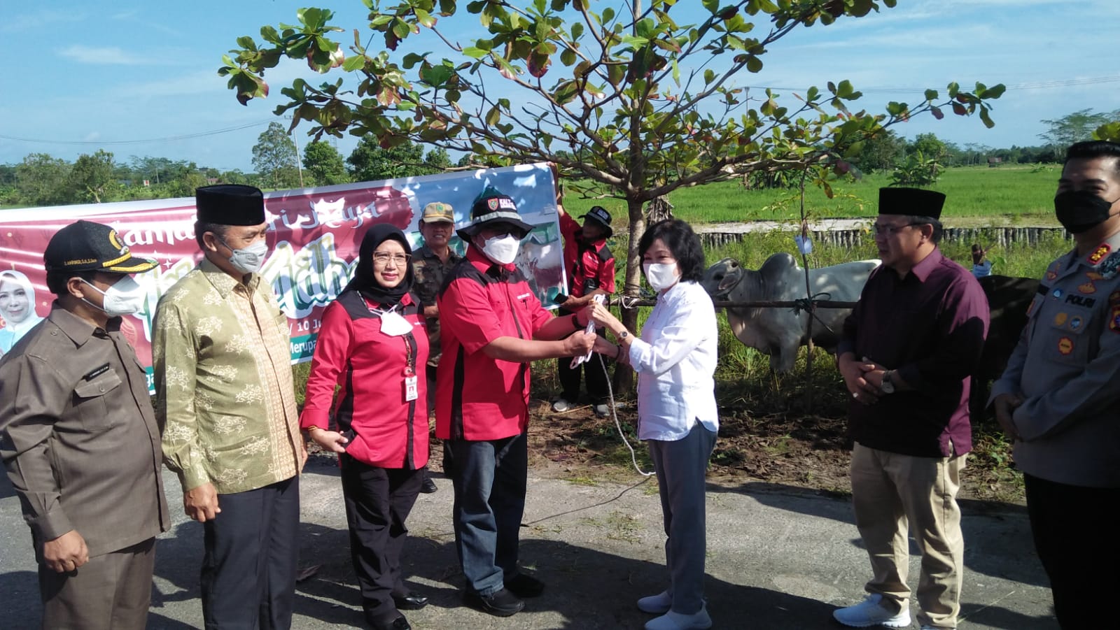 Pemprov Kalteng Serahkan 36 Ekor Sapi Kurban Kepada Pemkab Pulang Pisau