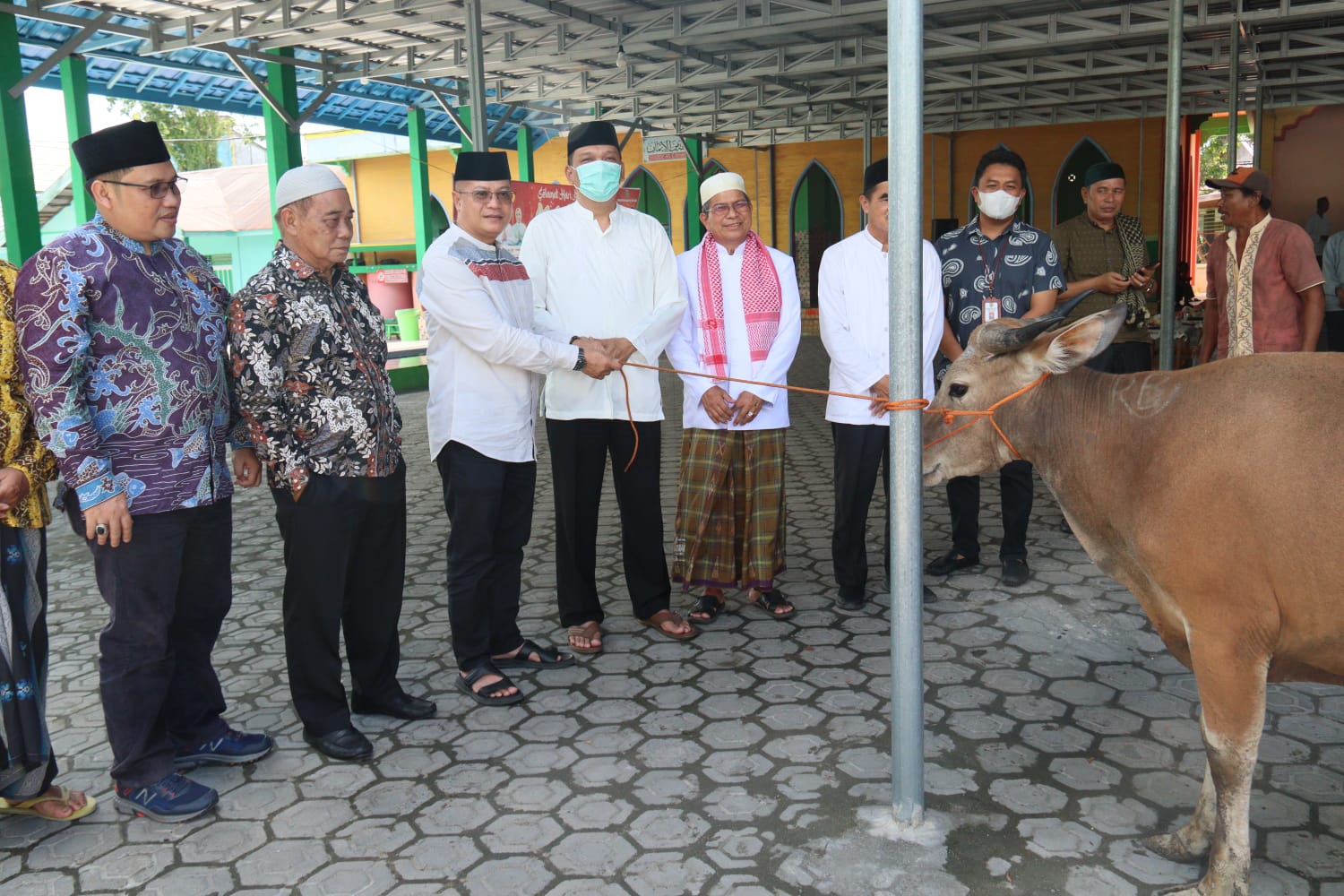 Gubernur Kalteng Serahkan Bantuan Hewan Sapi Kurban Untuk Kab. Barito Selatan