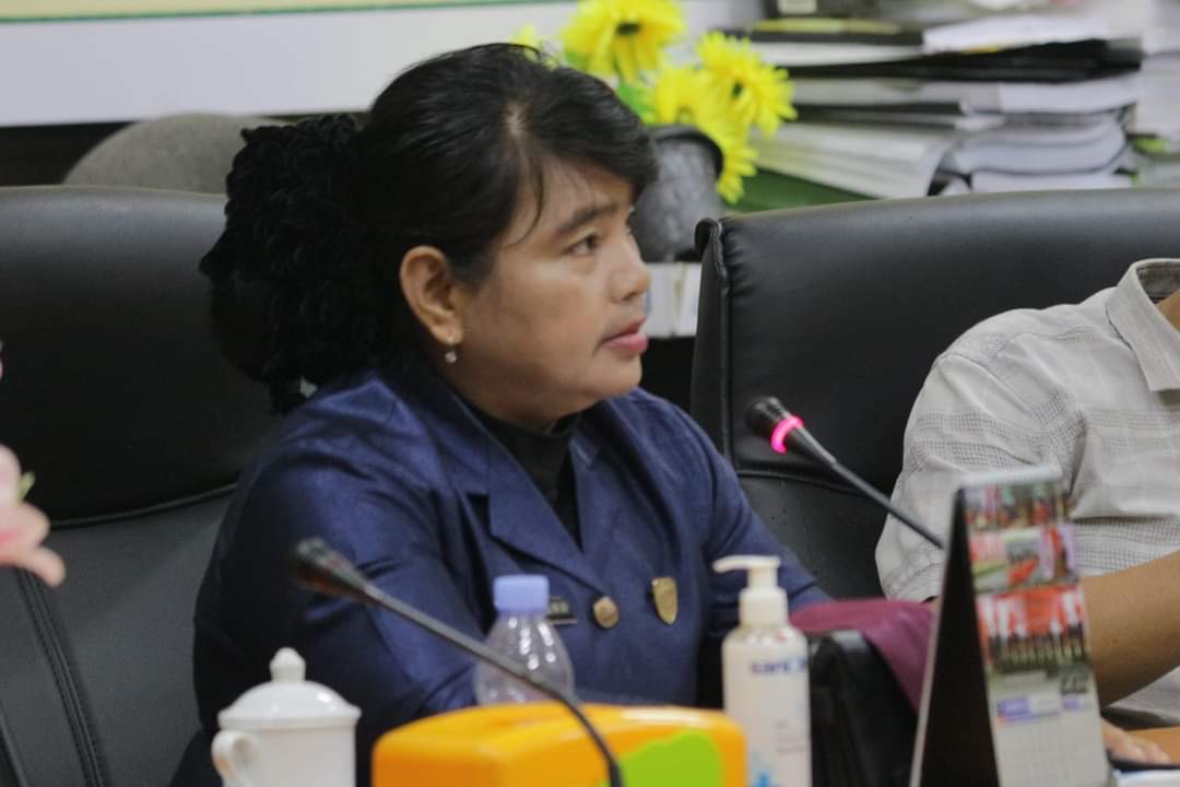 Pemkab Seruyan Didorong Kembangkan Kerajinan Anyaman di Dapil III