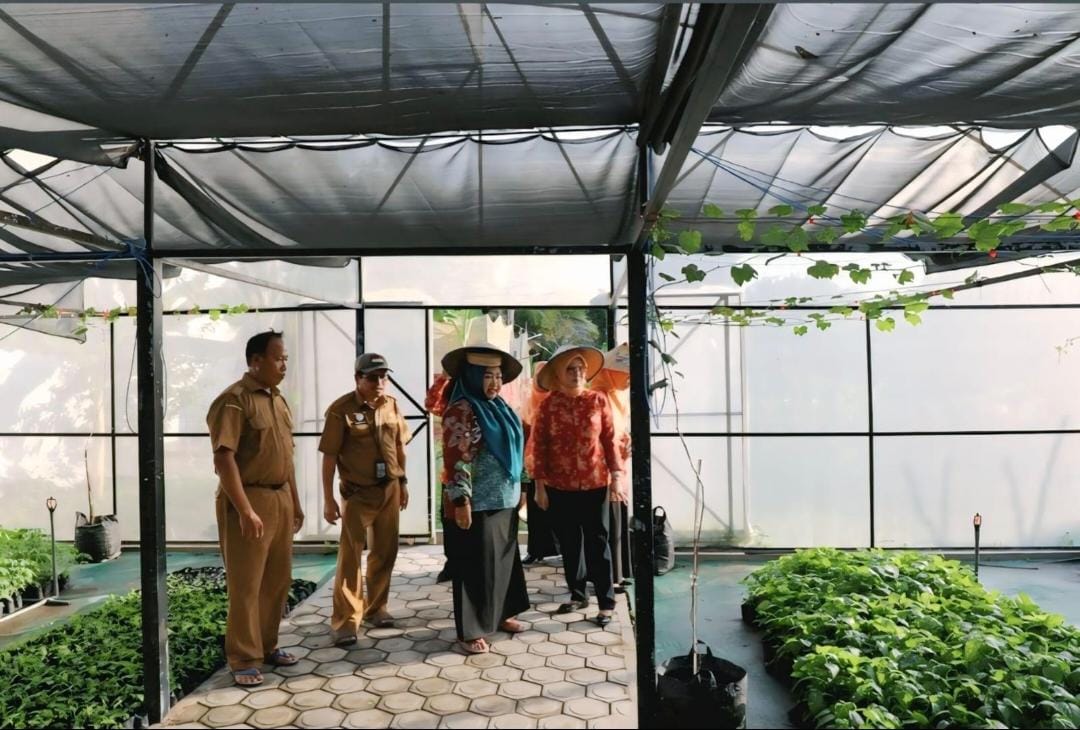 Dinas TPHP Prov. Kalteng Memanfaatkan Screen House Sebagai Pusat Pembibitan Cabai