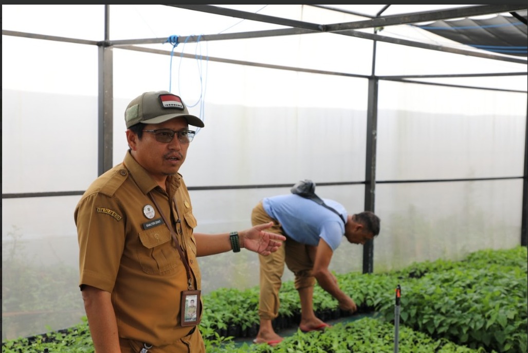 Dinas TPHP Prov. Kalteng Memanfaatkan Screen House Sebagai Pusat Pembibitan Cabai