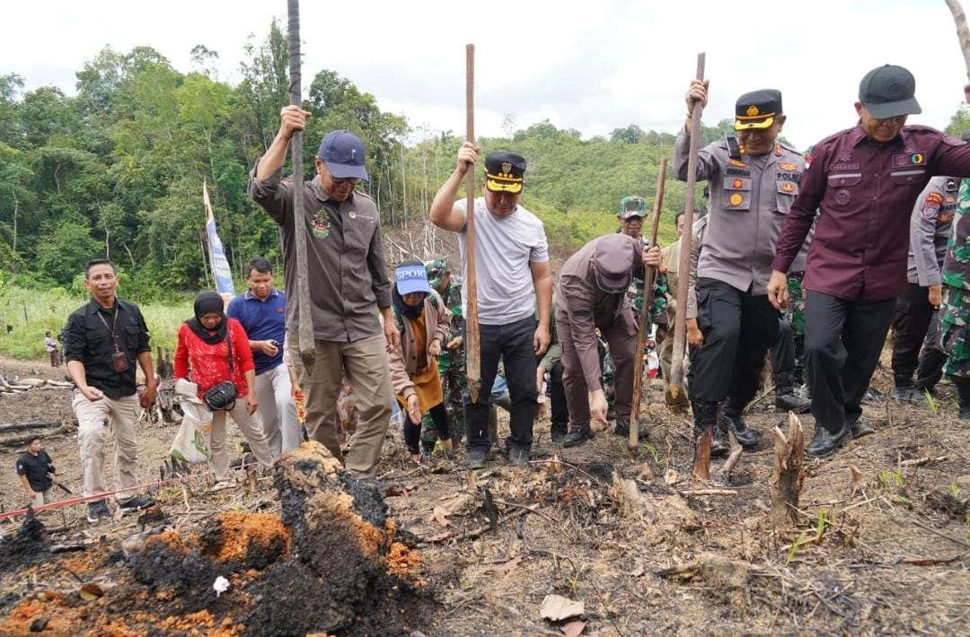 Gubernur Kalteng Sugianto Sabran Lakukan Penanaman Perdana Padi Gogo