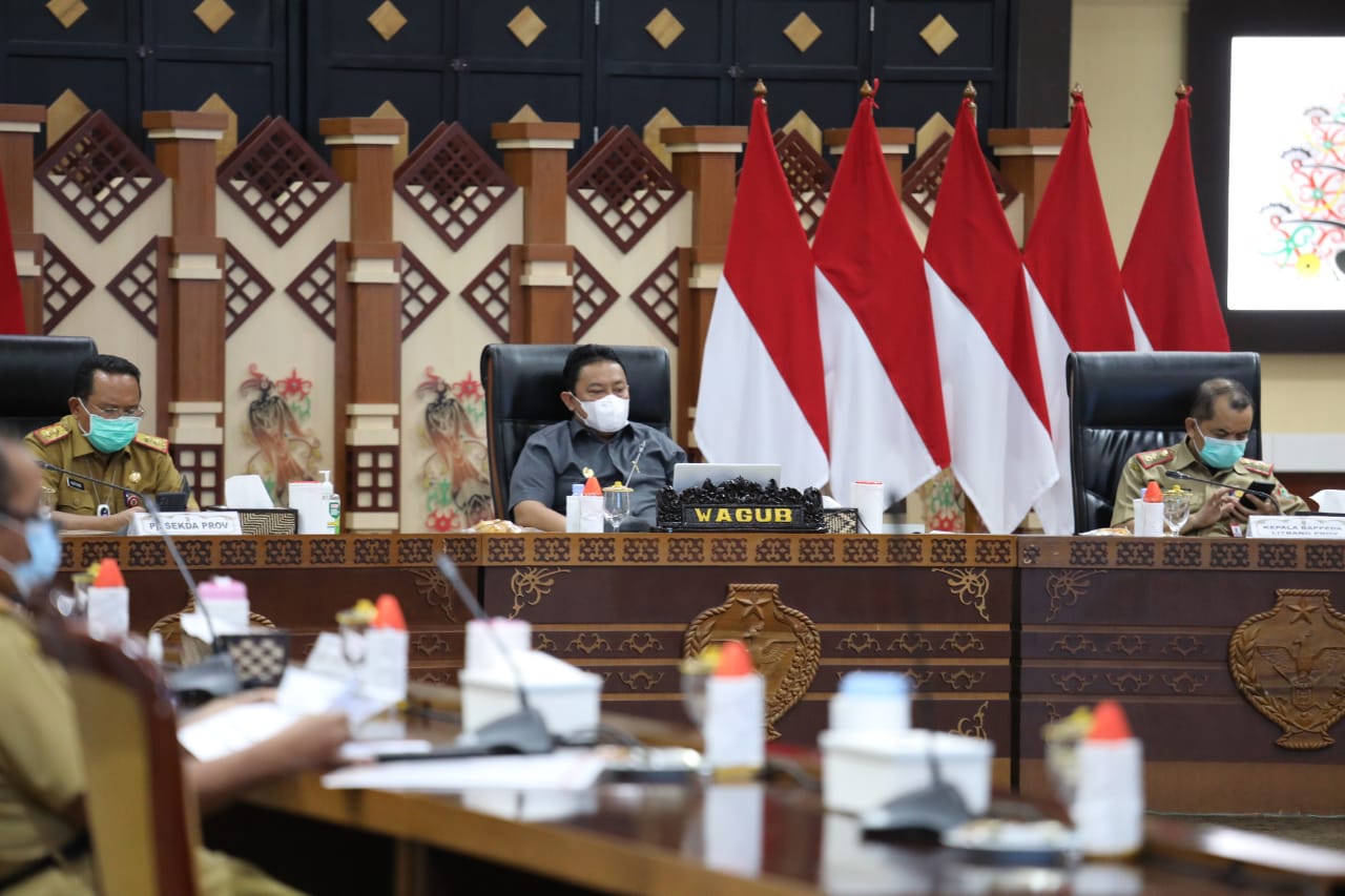 Wagub Kalteng Hadiri Rapat Percepatan Pelaksanaan Stranas PK