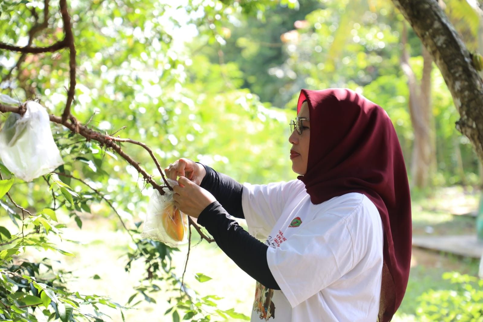 Kadis TPHP Sunarti Lakukan Kunker ke IPBH yang Berada di Desa Pelantaran