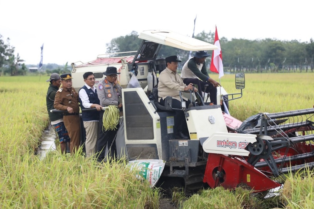 Sinergi Pemprov Kalteng dan PT Pupuk Indonesia Dalam Optimalisasi Lahan Melalui Panen Raya Demplot Padi