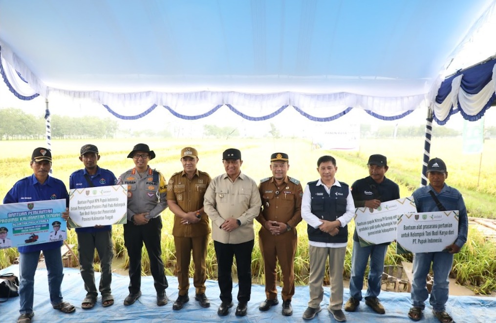 Penerapan Teknologi Pemupukan Berimbang Melalui Demplot Padi Sebagai Upaya Peningkatan Efisiensi Usaha Tani