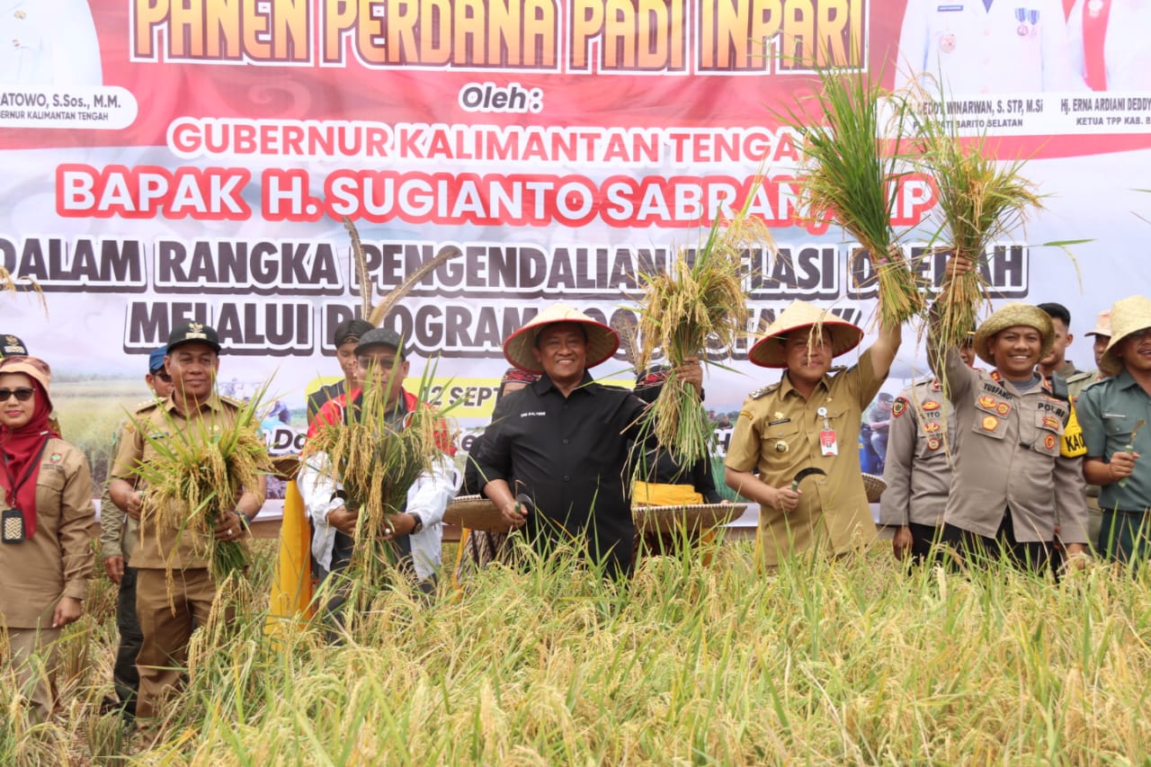 Wagub Kalteng Edy Pratowo Panen Perdana Padi Inbrida