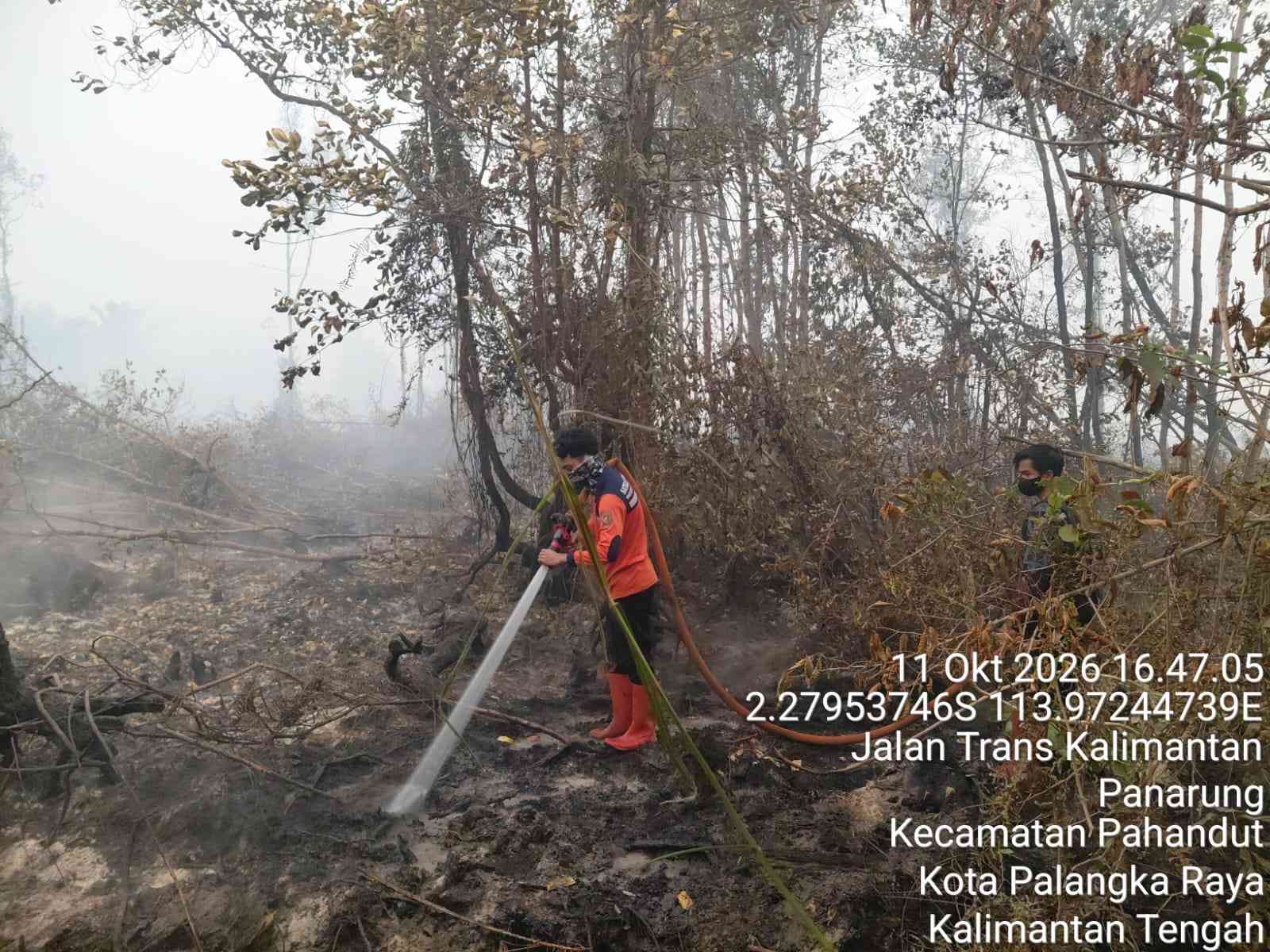 BPB-PK Kalteng Rilis Laporan Harian Karhutla, Imbau Masyarakat Hentikan Pembakaran Lahan