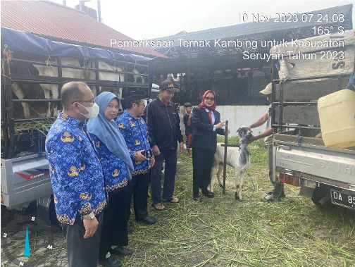 Kadis TPHP Serahkan Bantuan Ternak Kambing Peranakan Etawa Untuk Kabupaten Seruyan