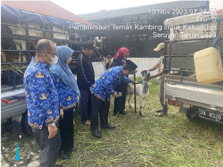 Kadis TPHP Serahkan Bantuan Ternak Kambing Peranakan Etawa Untuk Kabupaten Seruyan