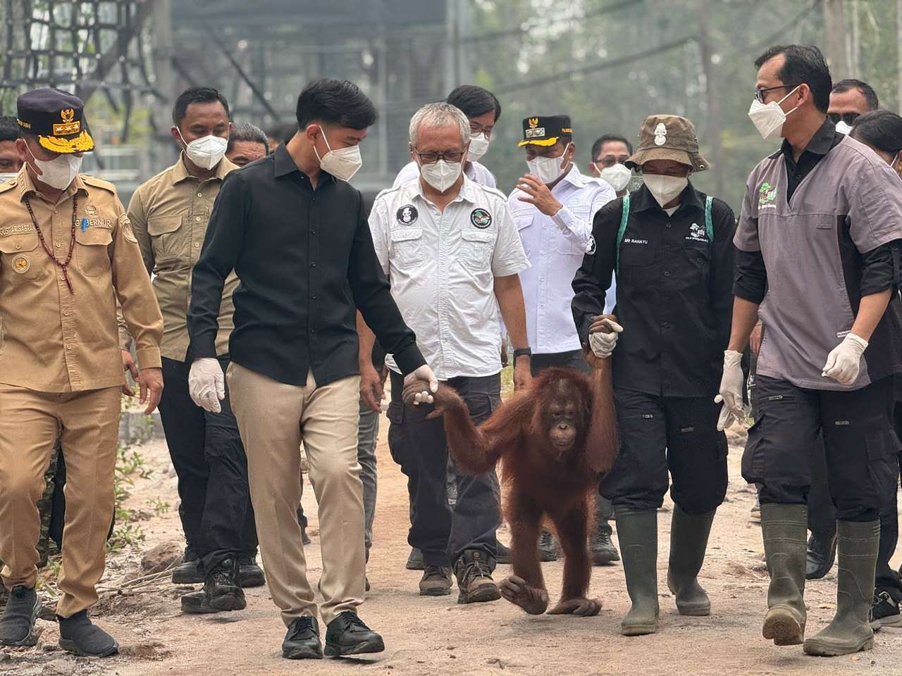 Wapres Gibran Tinjau Nyaru Menteng, Pastikan Penanganan Orangutan Terdampak Karhutla Berjalan Optimal