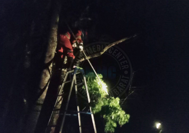TRC BPBD Evakuasi Sarang Tawon Di Desa Natai Baru