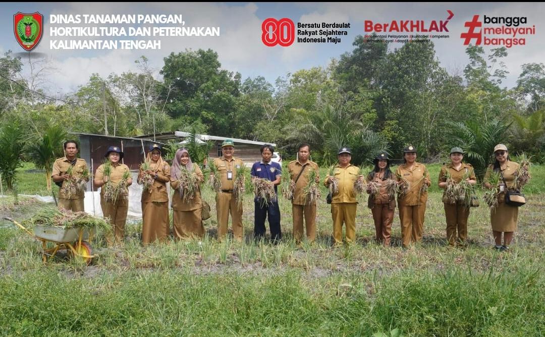 Panen Bawang Merah, Dinas TPHP Kalteng Dukung Produktivitas Petani di Tangkiling