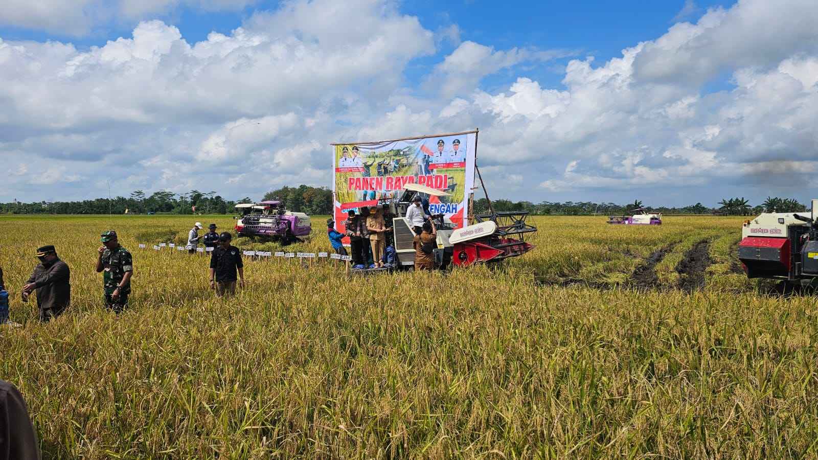 Dinas Ketahanan Pangan Prov. Kalteng Terus Kawal Panen Raya