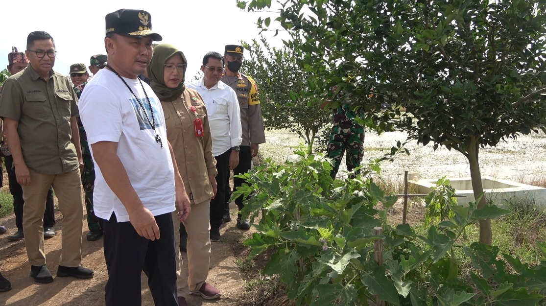 Gubernur Kalteng Sugianto Sabran Tinjau Perkembangan Food Estate Di Desa Belanti Siam Dan Desa Gadabung