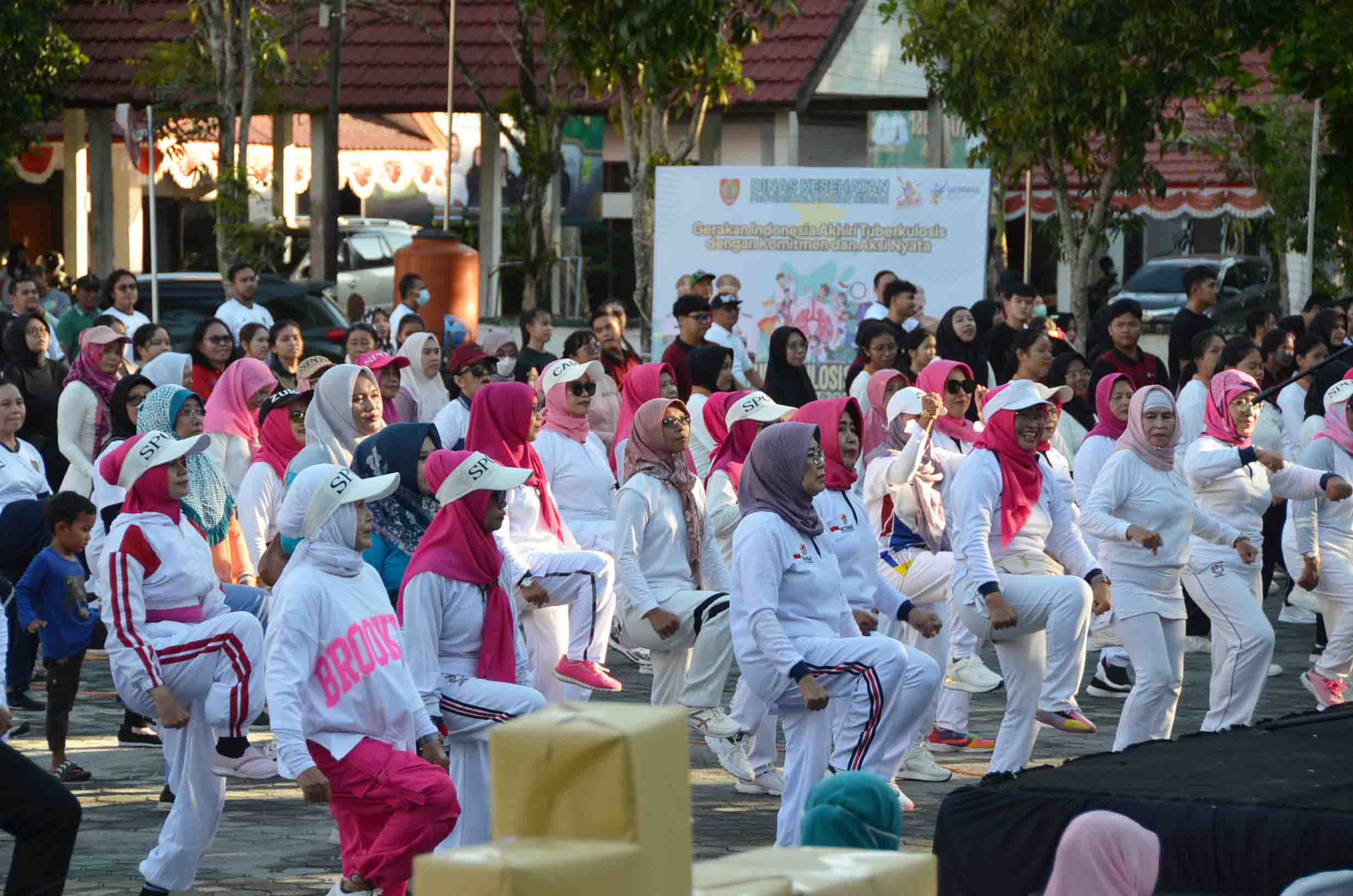 Dinkes Prov. Kalteng Gelar Puncak Peringatan Hari Tuberkulosis Sedunia