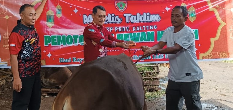 Majelis Taklim DPMPTSP Prov. Kalteng Laksanakan Pemotongan Hewan Qurban