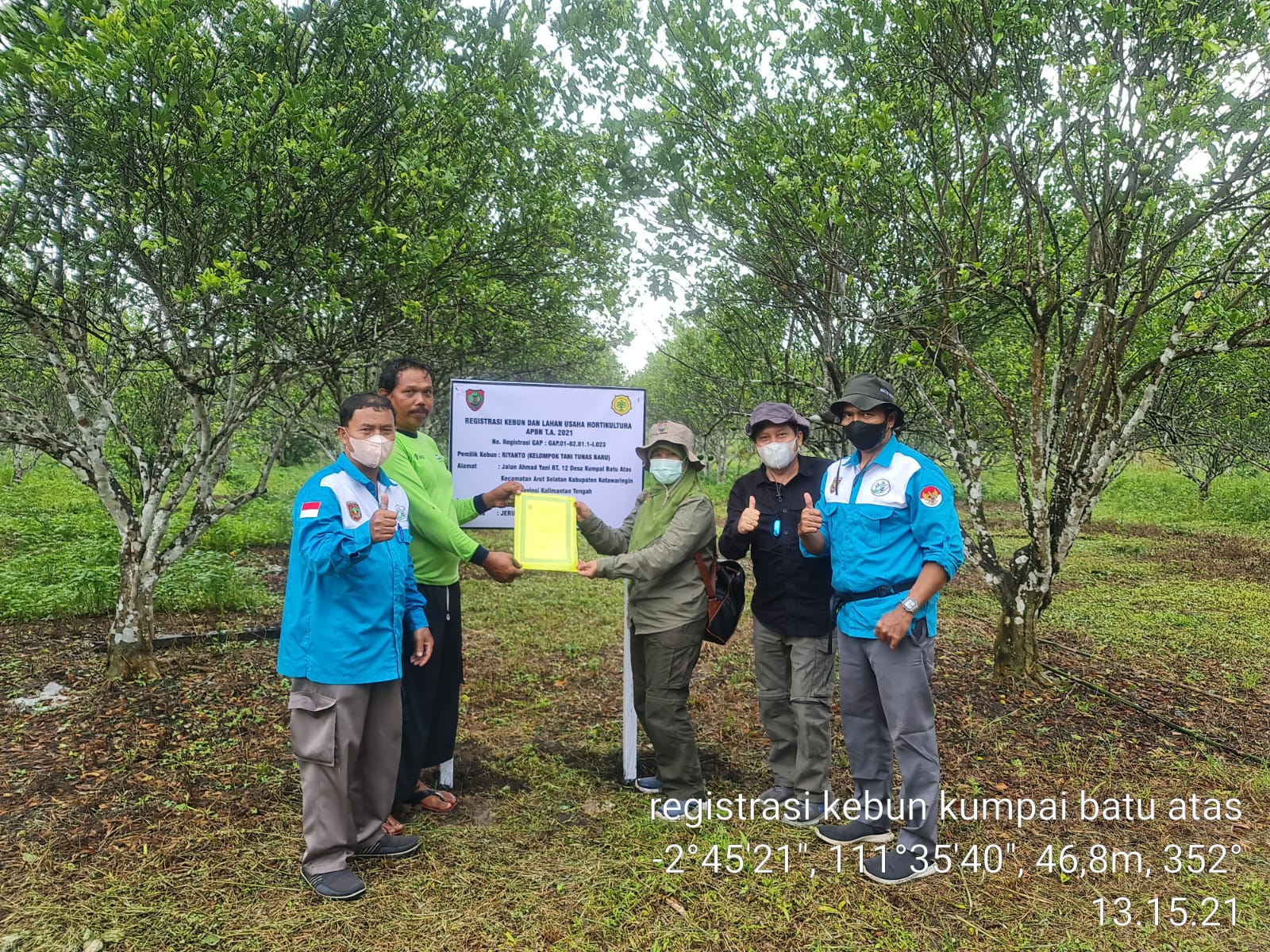 Pemprov. Kalteng Kembangkan Budidaya Berbagai Komoditi Buah Di Seluruh Kabupaten Dan Kota