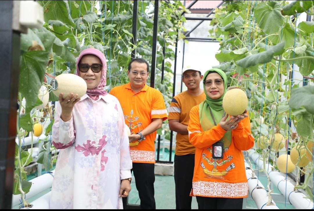 Kadis TPHP Sunarti Kunjungi Kelompok Petani Milenial
