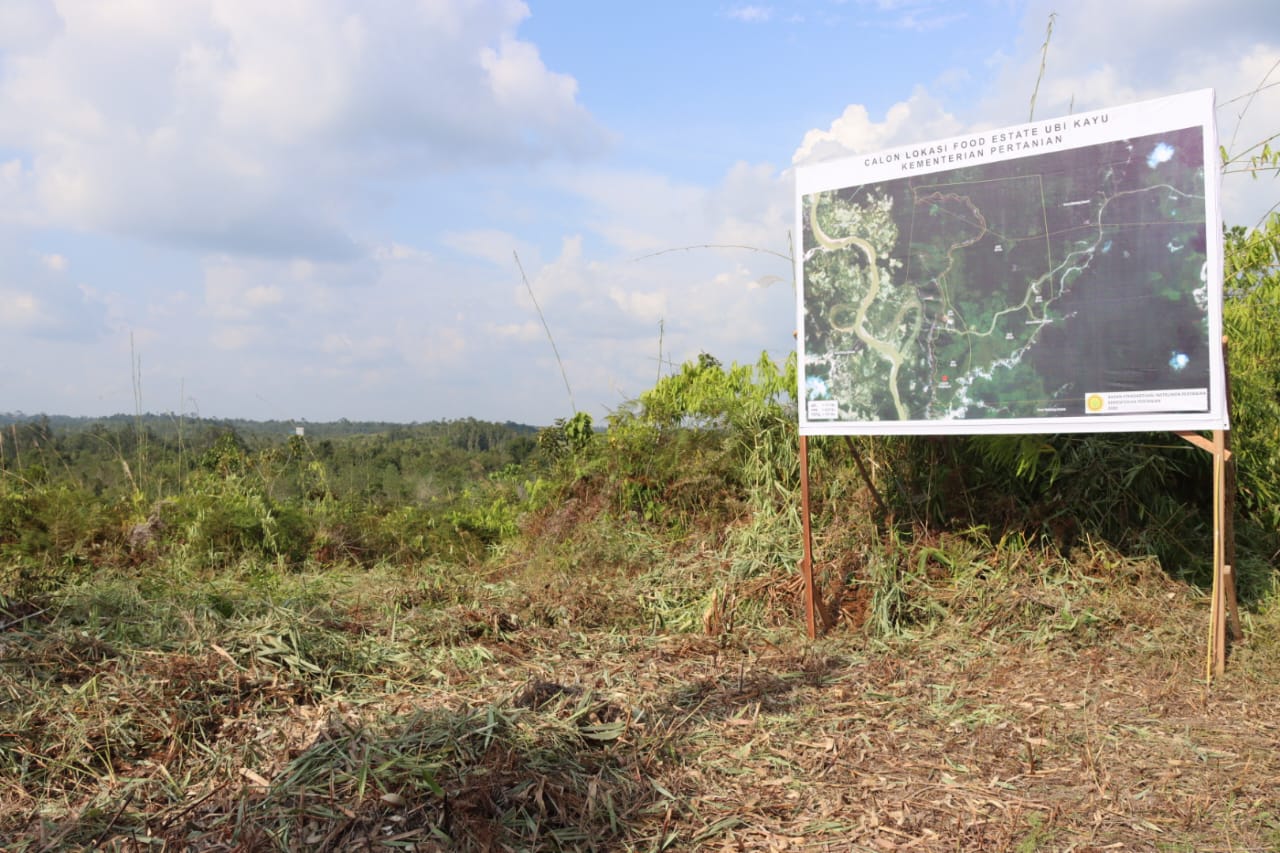 Menteri Pertanian Bersama Wagub Kalteng Tinjau Calon Lokasi Food Estate Singkong yang Berada di Desa Dahian Tambuk