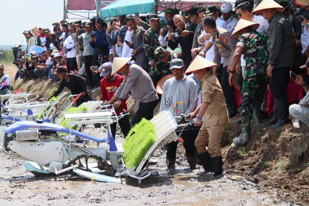 Kadis PMD Prov. Kalteng Aryawan Hadir Dampingi Gubernur Kalteng Agustiar Sabran Dalam Gerakan Tanam Padi Serentak