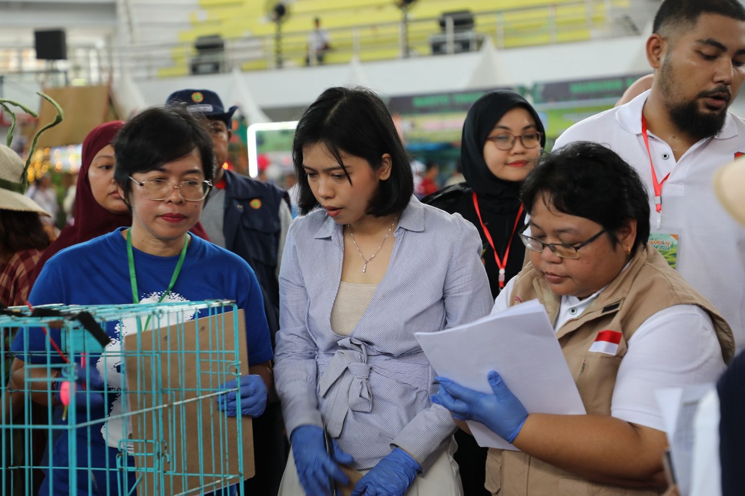DTPHP Prov. Kalteng Gelar Kontes Kucing