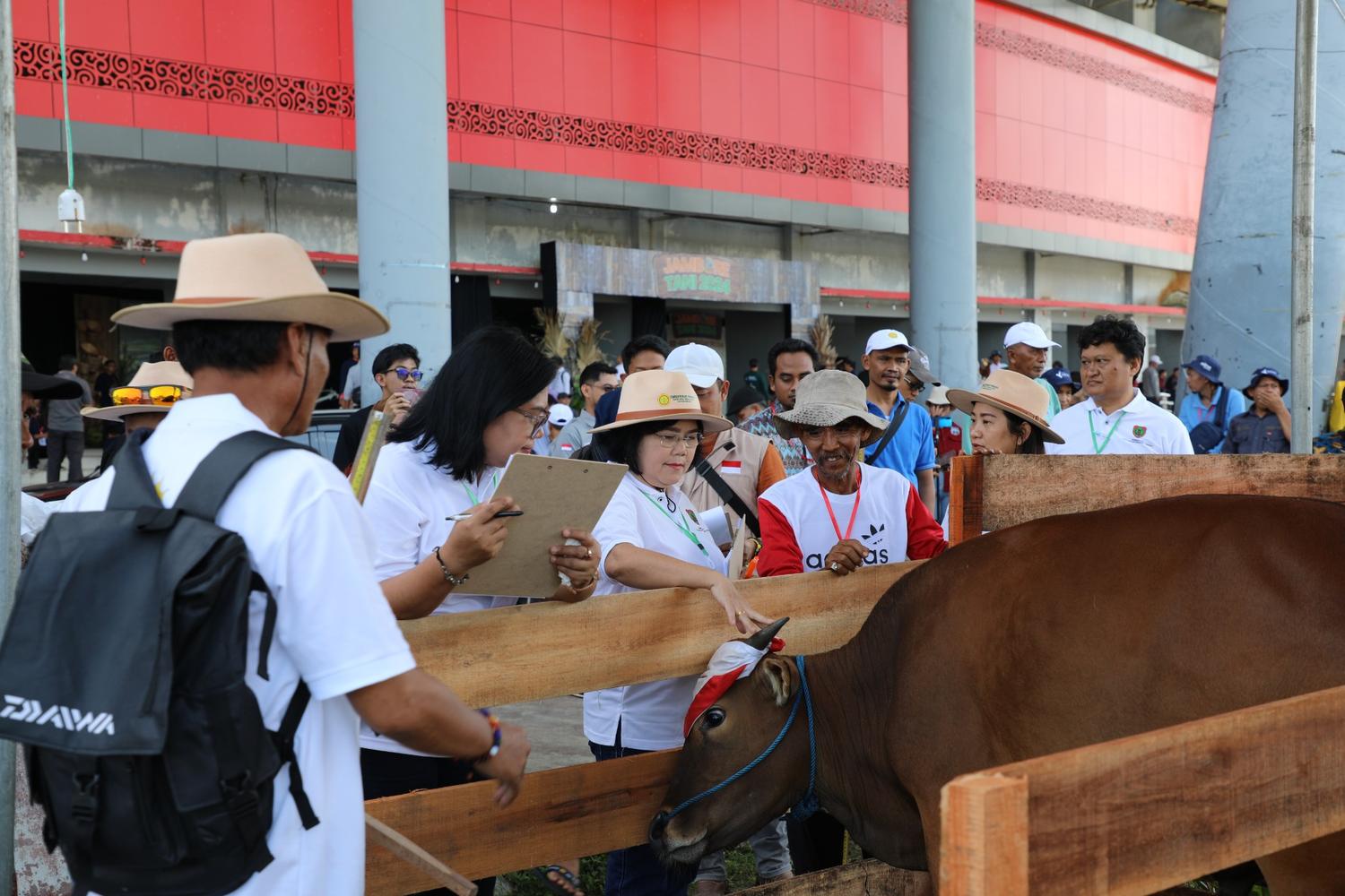 DTPHP Prov. Kalteng Gelar Kontes Pedet dalam Jambore Tani 2024