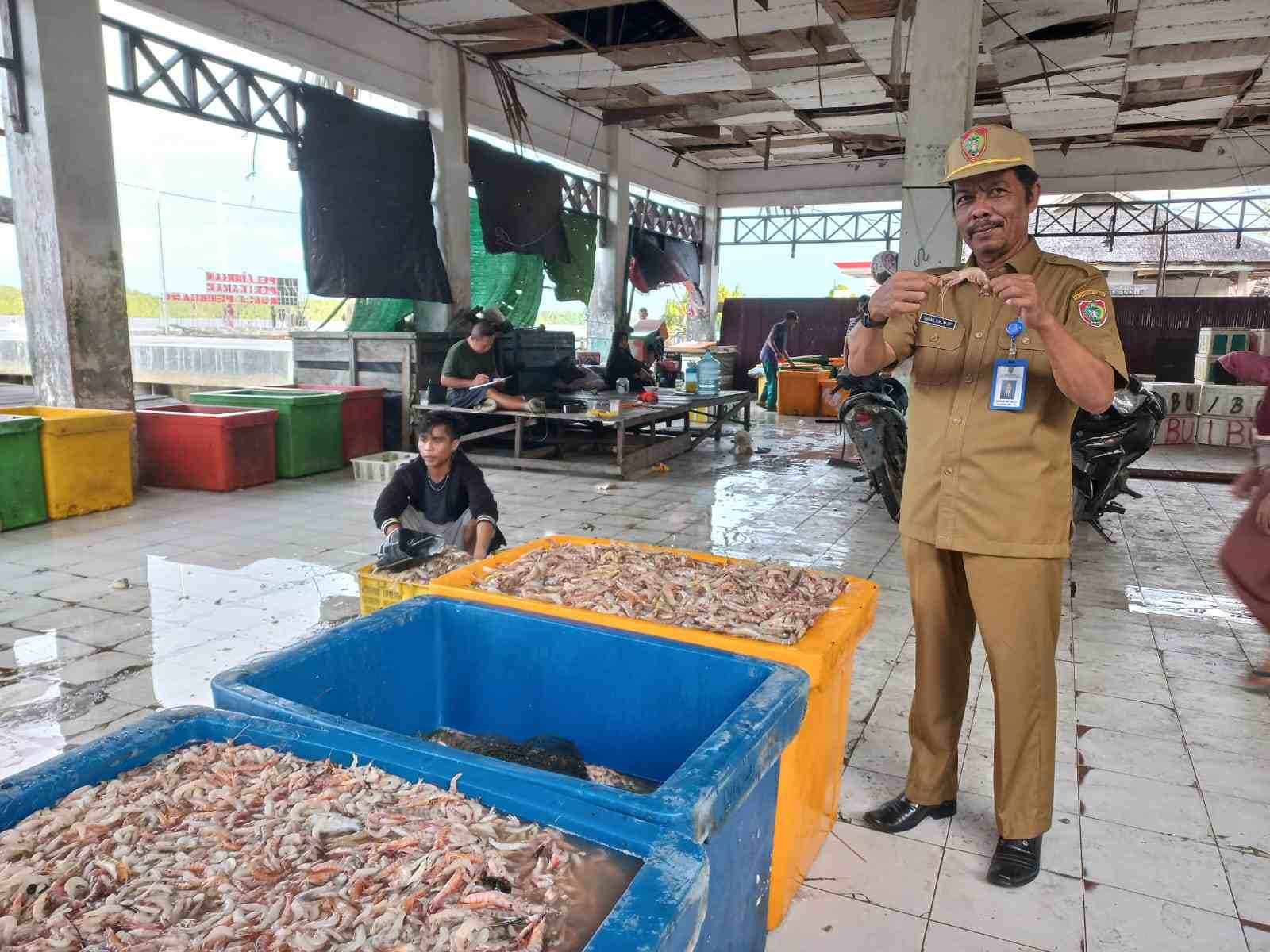 Kadislutkan Prov. Kalteng Darliansjah : Produk Udang Hasil Tangkapan di Pelabuhan Perikanan Kuala Pembuang Dapat Berupa Udang Segar dan Udang Olahan