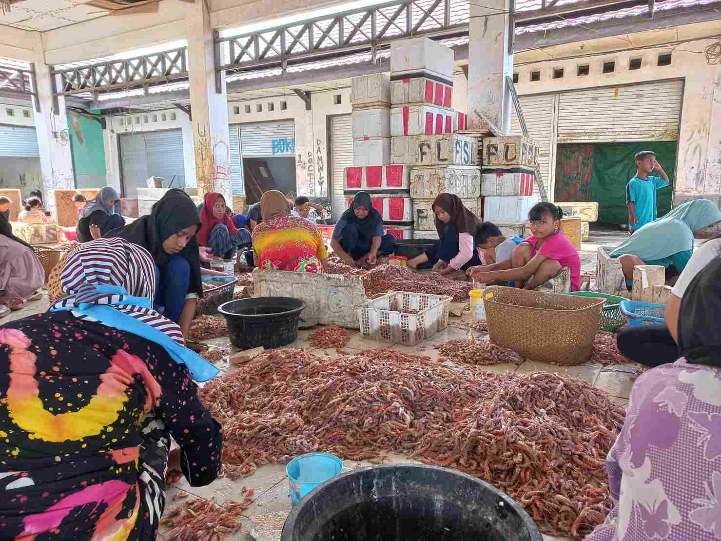 Kadislutkan Prov. Kalteng Darliansjah : Produk Udang Hasil Tangkapan di Pelabuhan Perikanan Kuala Pembuang Dapat Berupa Udang Segar dan Udang Olahan