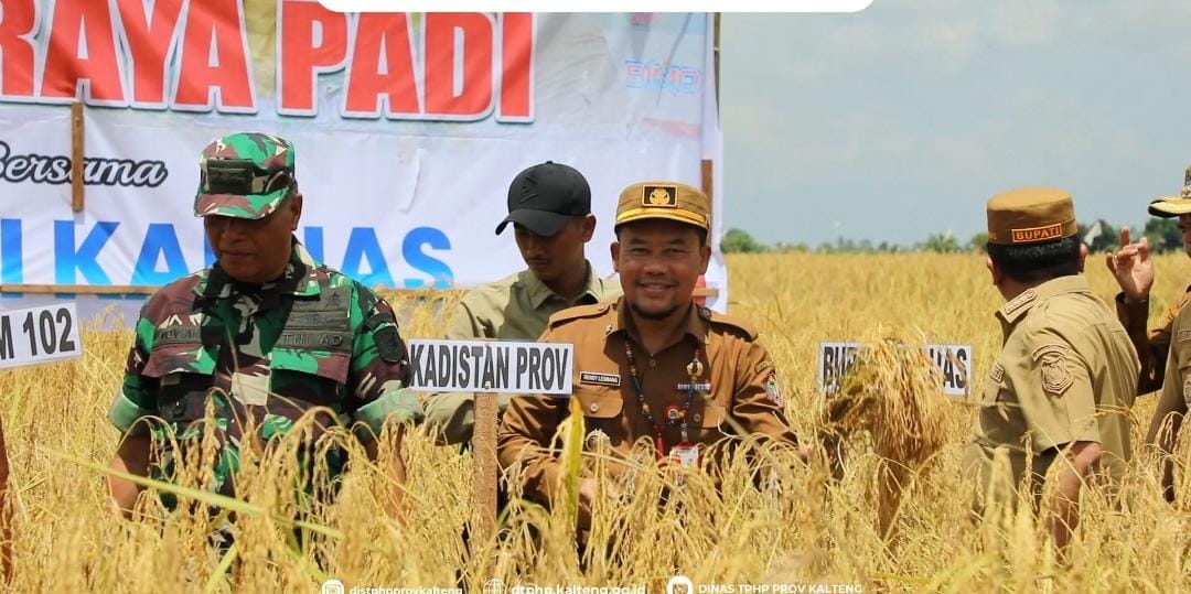 Kadis TPHP Prov Kalteng Laksanakan Pengawalan ke Lokasi Panen Raya Padi Lokal